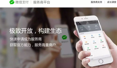 江蘇中理網(wǎng)絡(luò)科技 服務(wù)商定位、準(zhǔn)入路徑與網(wǎng)絡(luò)技術(shù)服務(wù)解析